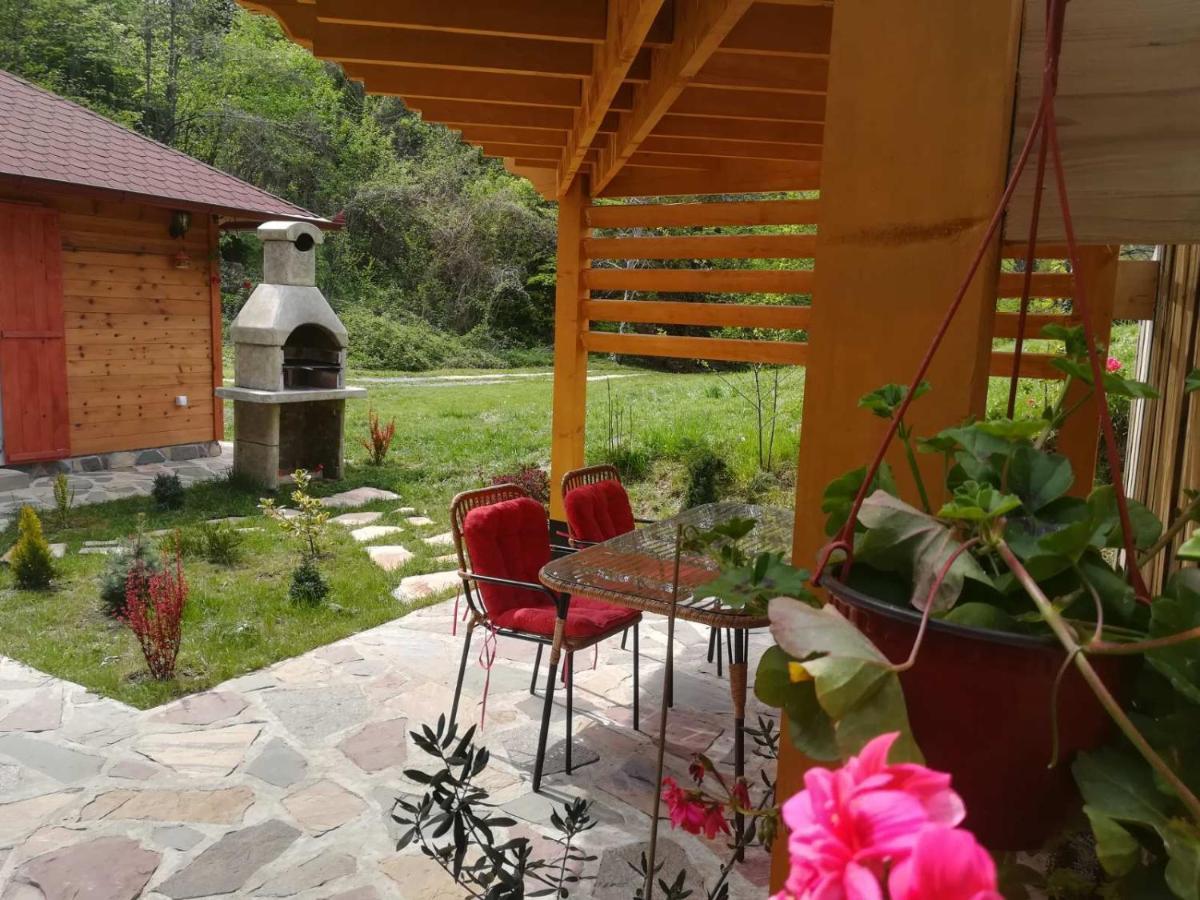 Brvnara Kraj Dunava Zelena Oaza Banostor Ngoại thất bức ảnh