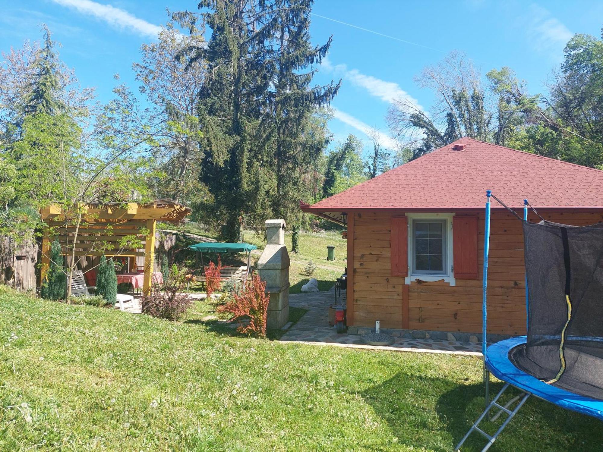 Brvnara Kraj Dunava Zelena Oaza Banostor Ngoại thất bức ảnh